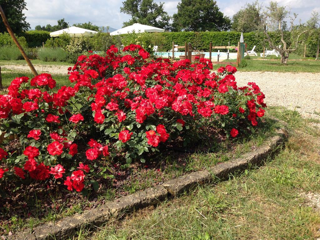 Country House Podere Le Rane Felici Fauglia エクステリア 写真