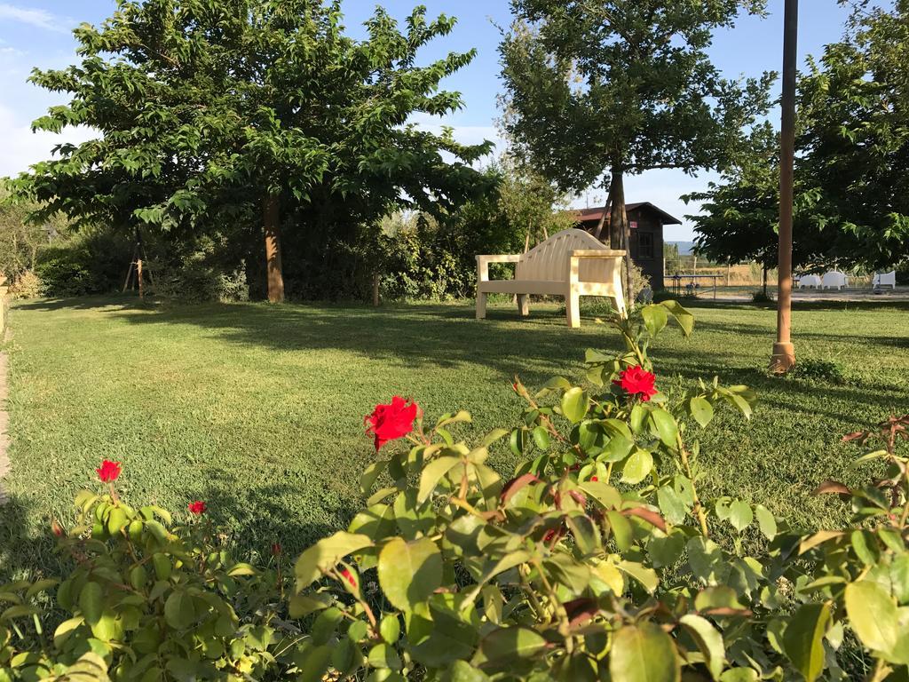 Country House Podere Le Rane Felici Fauglia エクステリア 写真